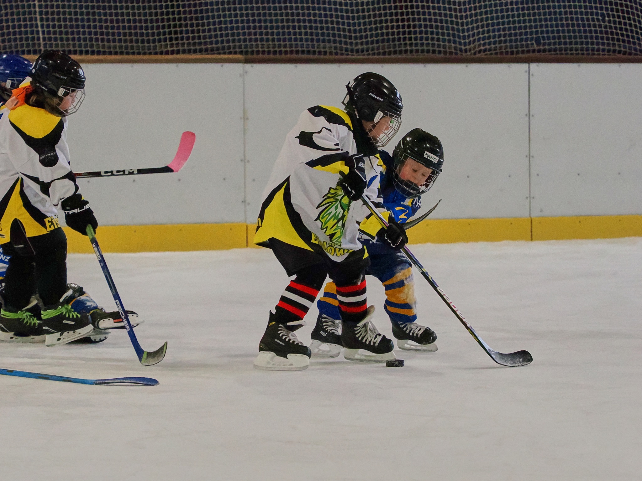 Turniertag 2025 2023